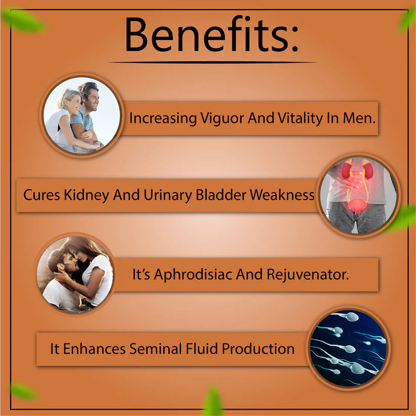 Cipzer Luboob Sagheer Powder - 125gm | Herbal Unani Tonic for Strength, Stamina, Energy & Male Vitality