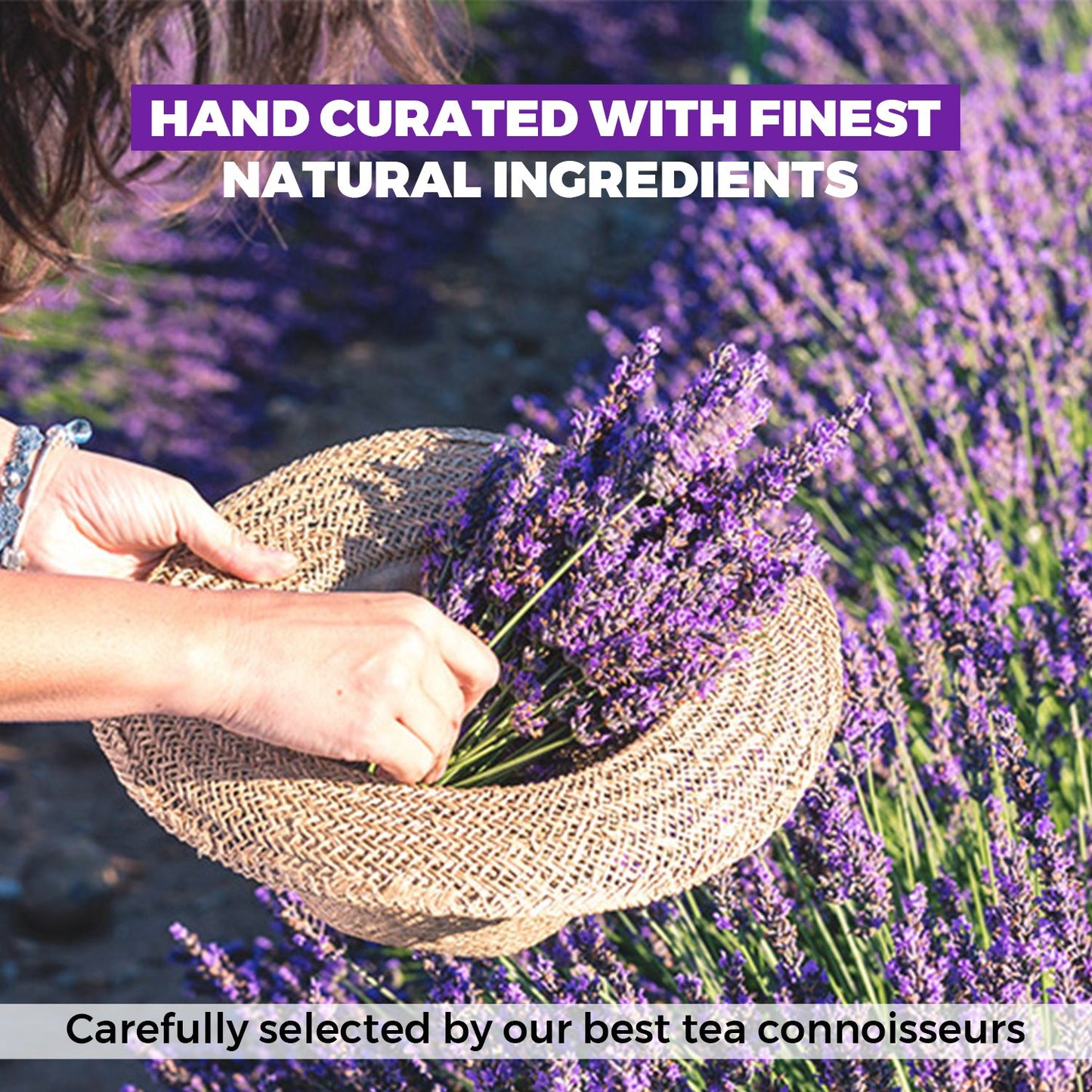 Vanalaya Organic Lavender Flower Tea from Sun Dried Flowers For Stress Relief 30gm