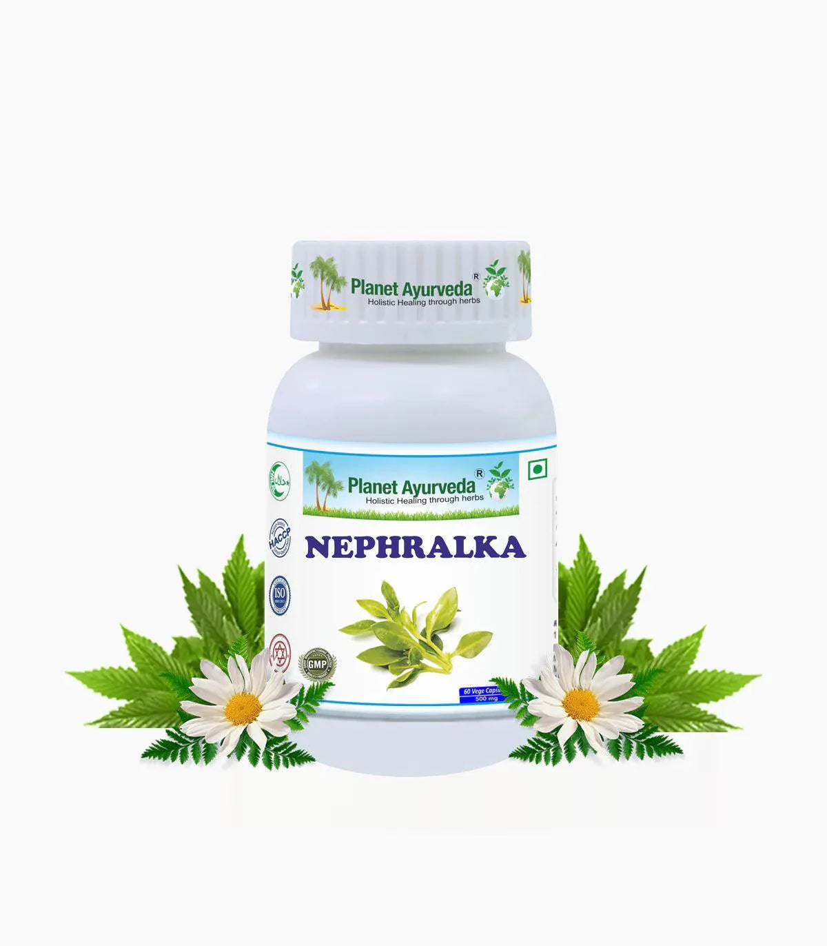 Planet Ayurveda Nephralka Vege Capsule - 60 Capsules