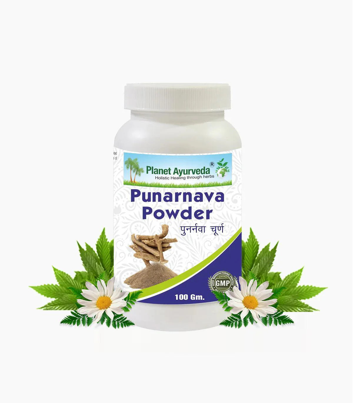 Planet Ayurveda Punarnava Powder - 100gm Powder