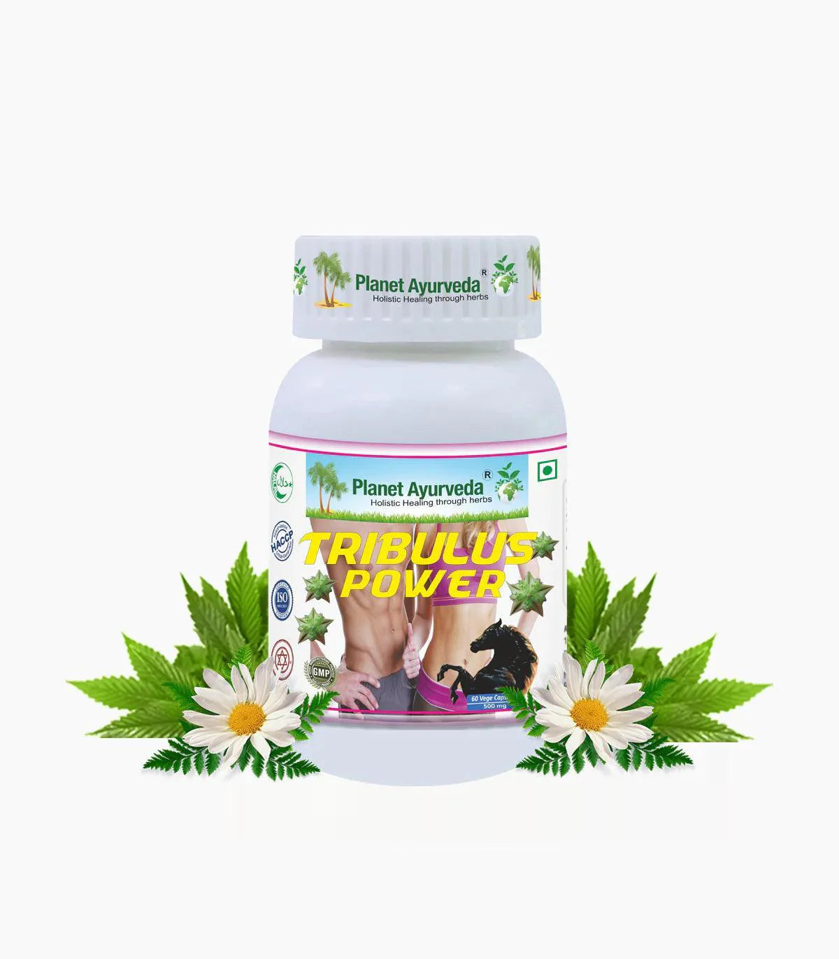 Planet Ayurveda Tribulus Power Capsule - 60 Capsules