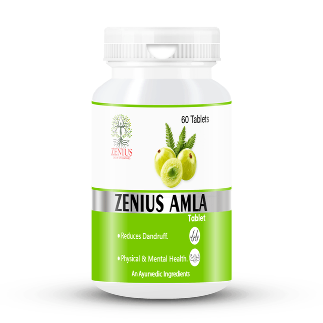 Zenius Amla Tablets - Powerful Vitamin C-Rich for Immune Boost, Skin Health, and Detoxification - 60 Tablets