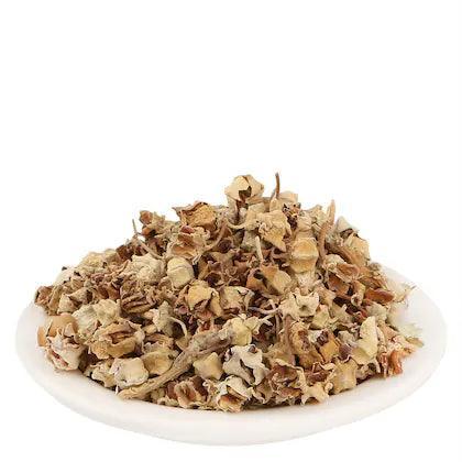 YUVIKA Aak ka Phool - Aakh Phool - Madar - Calotropis Procera