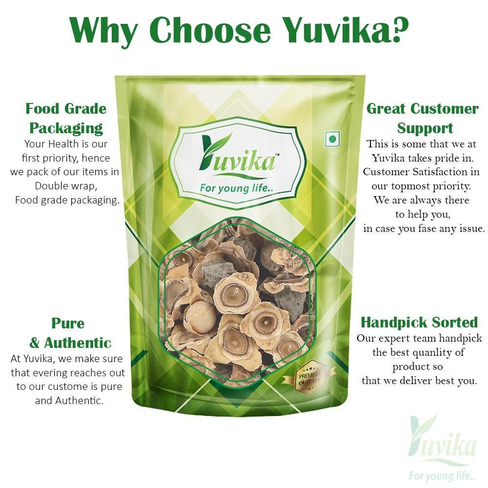 YUVIKA Bai Khumba - Bay Khumba - Careya Arborea