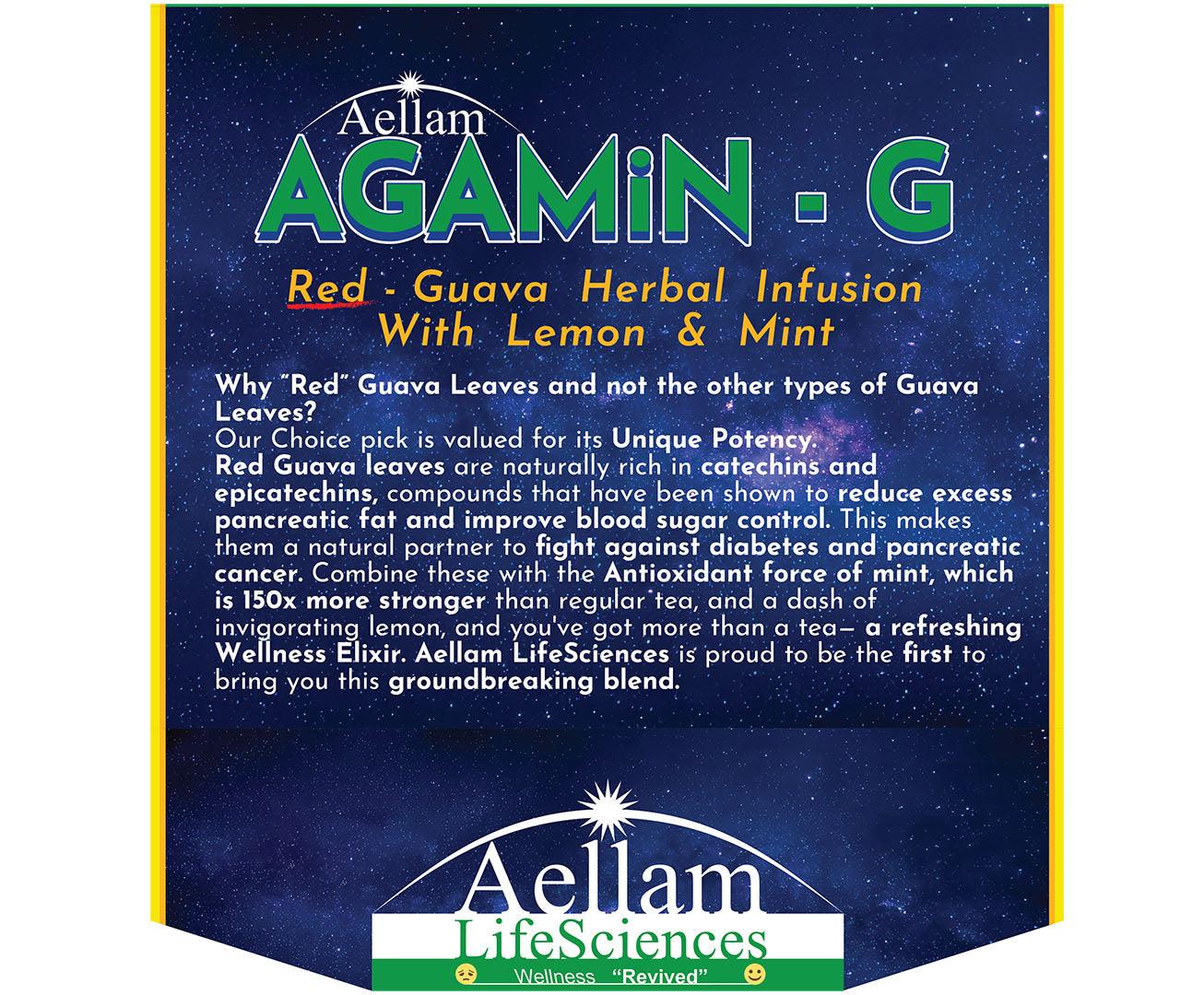 Aellam Agamin-G Herbal Infusion Dip-Tea