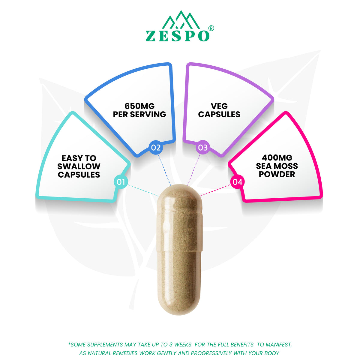 Zespo Sea Moss Complex 3 in 1 – 650 mg Per Capsule with Irish Sea Moss, Bladderwrack & Burdock Root Powder – Supports Energy, Immunity, Natural Detox – 60 Capsules