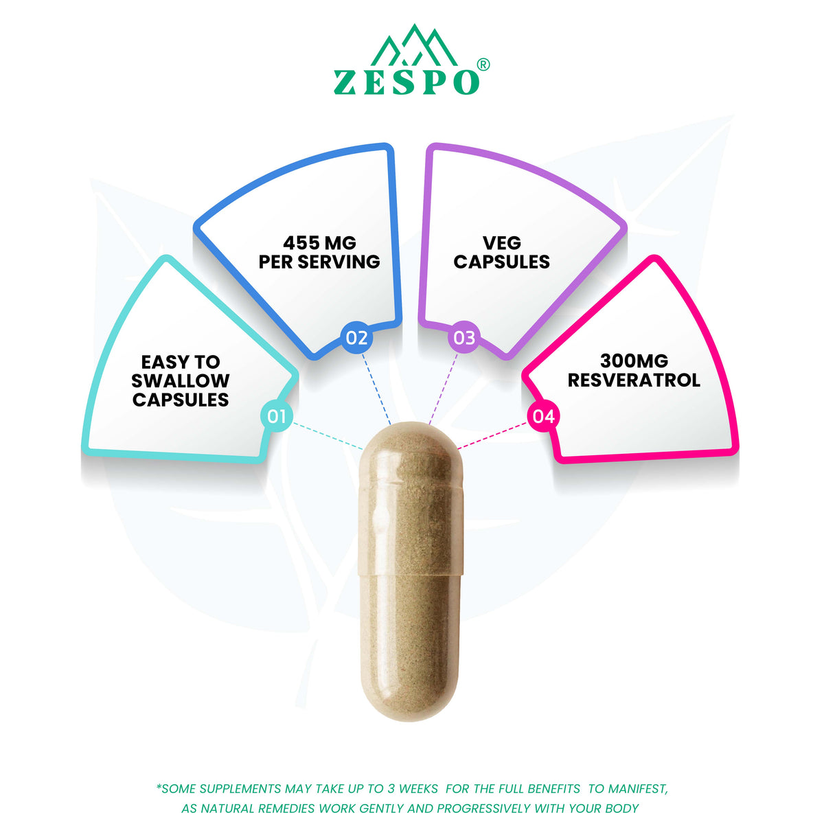 Zespo Trans-Resveratrol 4 in 1 – 455 mg Per Capsule with Quercetin Dihydrate, Fisetin & Spermidine – Supports Healthy Aging & Cellular Wellness – 90 Capsules