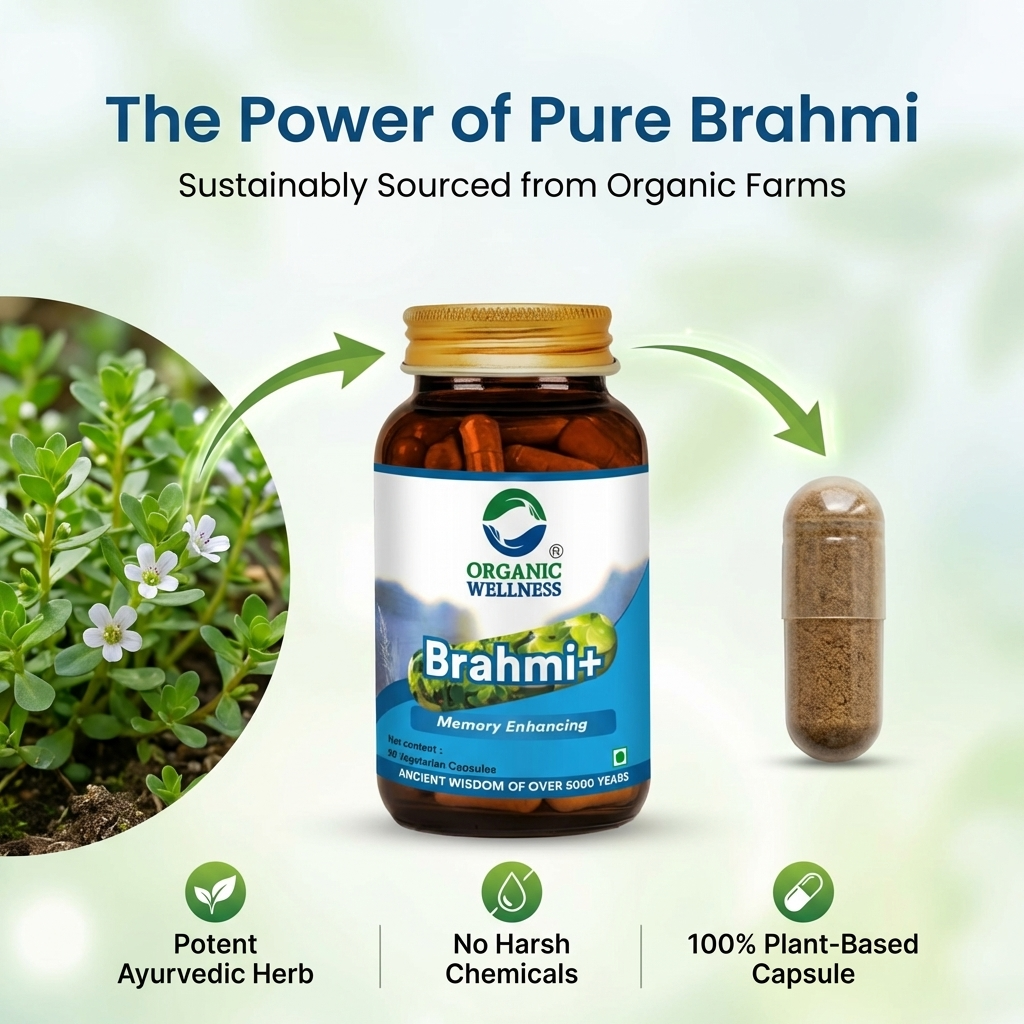 Organic Wellness Brahmi+ Capsules - 90 Capsules