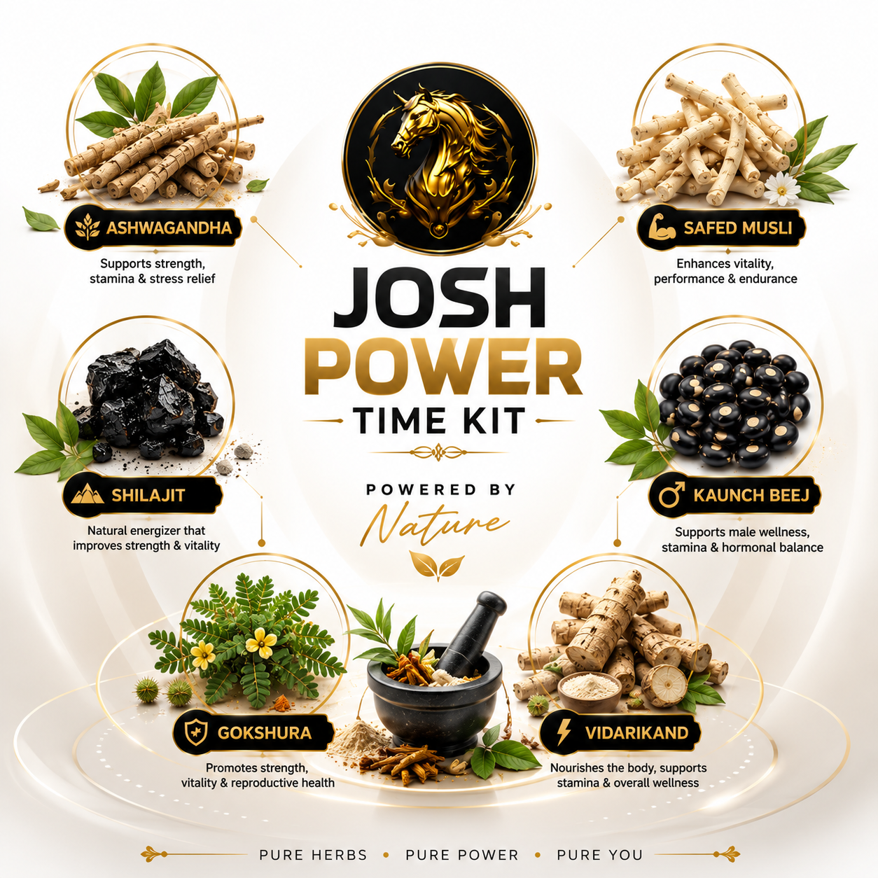 Josh Power Time Kit for Men | 30 Days Wellness Kit | Herbal Wellness Support Formula | Premium Daily Care Kit