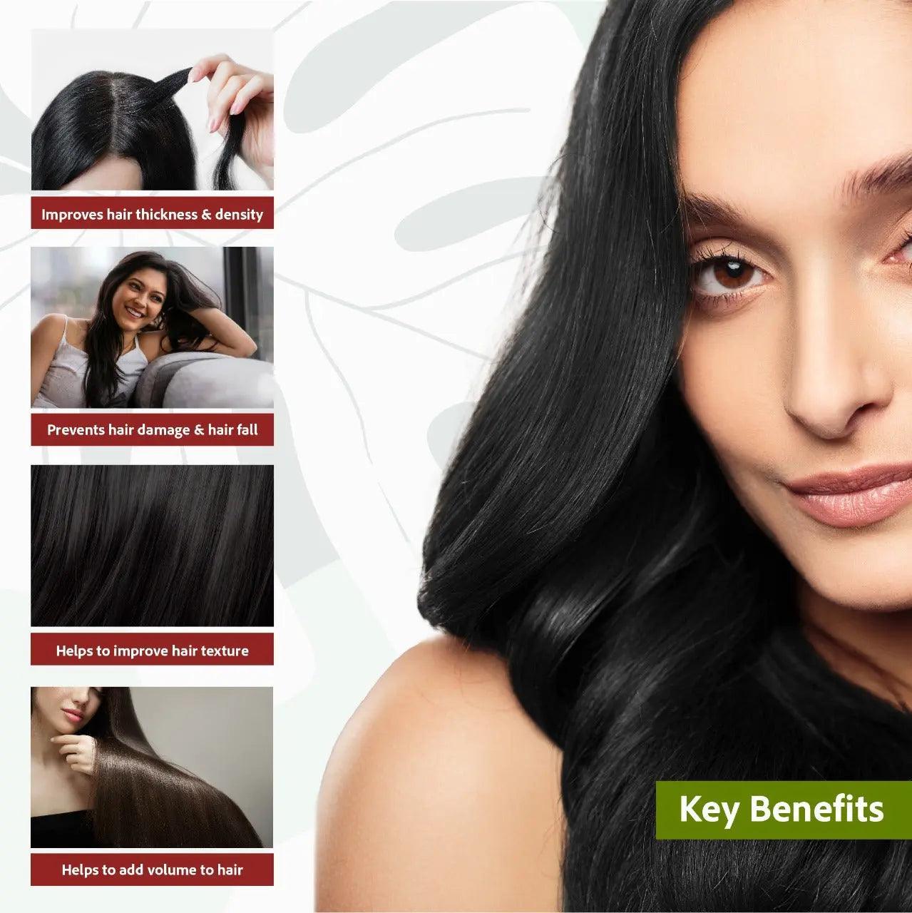 Sri Sri Tattva Henna Shikakai Shampoo - Pack of 2