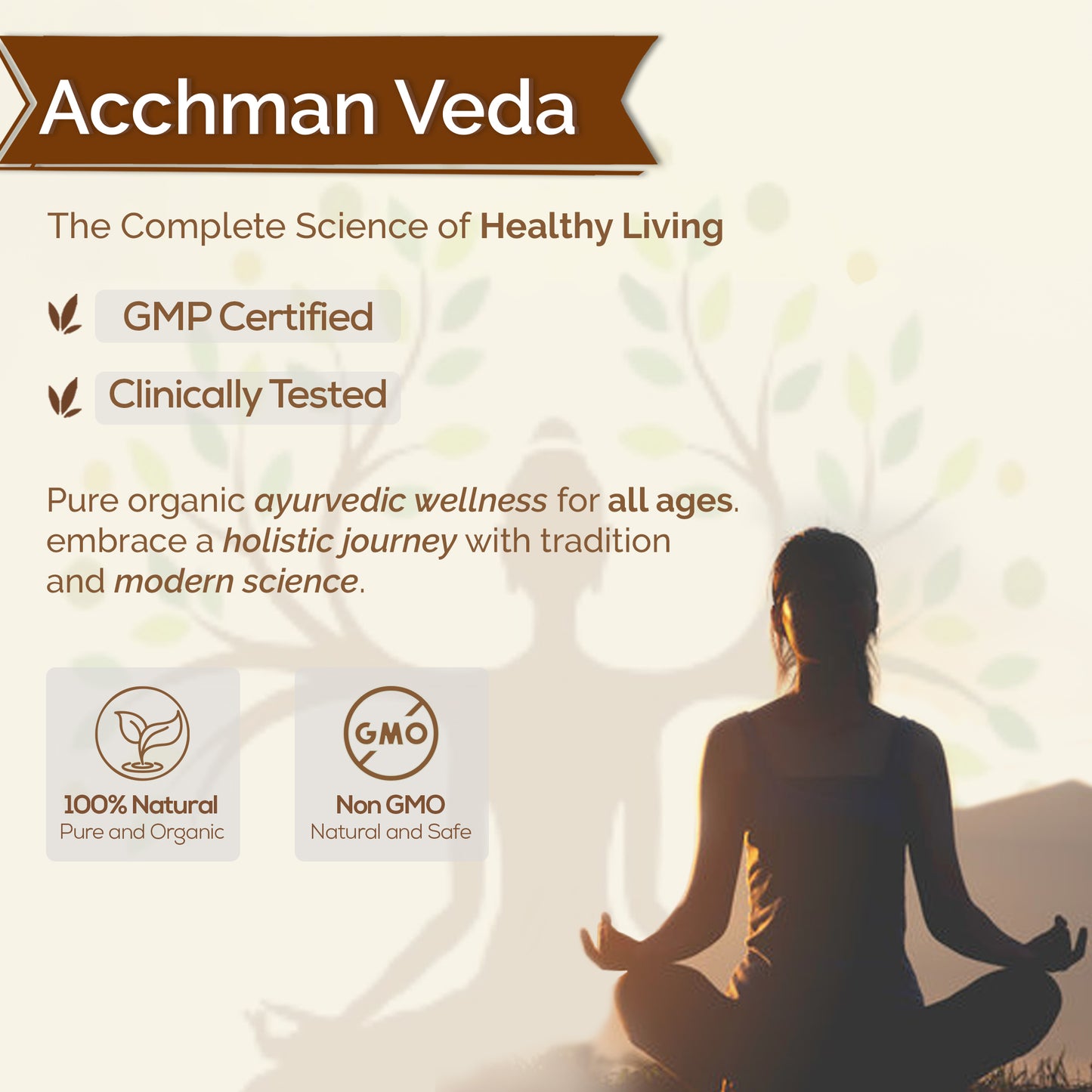 Aachman Veda Arjuna Amla Extract Powder (100 gm)