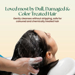 Moha: Damage Repair Sulfate-Free Shampoo (200ml) - Sulfate-Free Argan Oil Shampoo for Dry Hair