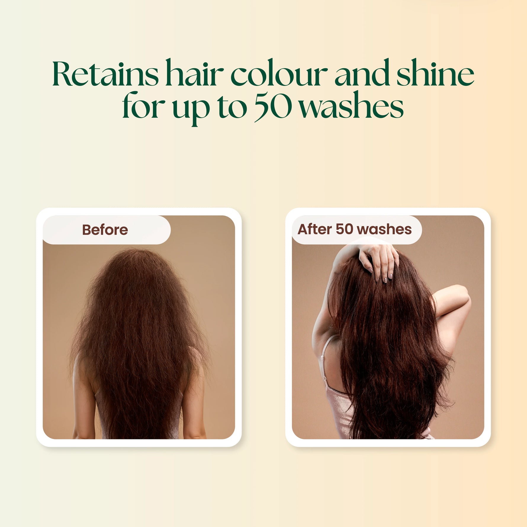 Moha: Damage Repair Sulfate-Free Shampoo (200ml) - Sulfate-Free Argan Oil Shampoo for Dry Hair