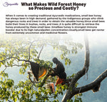 Arogyasiddhi Wild Forest Honey (500ml Each)