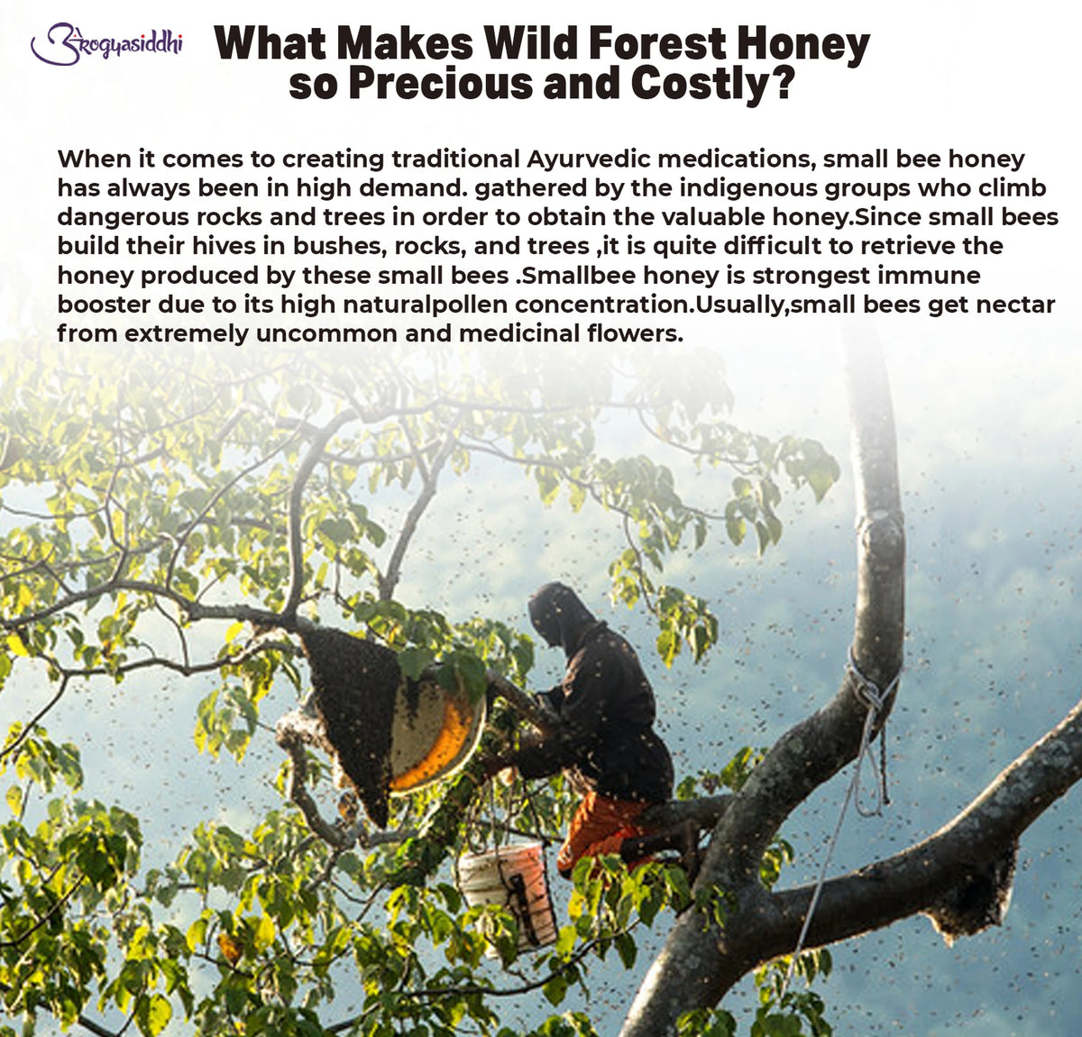 Arogyasiddhi Wild Forest Honey (500ml Each)