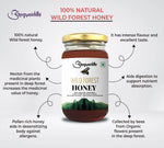 Arogyasiddhi Wild Forest Honey (500ml Each)