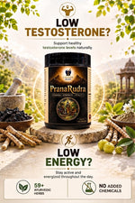 MedxLife's PranaRudra Capsule | Stamina |Testosterone| 120 Capsules