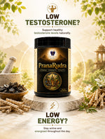 MedxLife's PranaRudra Capsule | Stamina |Testosterone| 120 Capsules