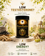 MedxLife's PranaRudra Capsule | Stamina |Testosterone| 120 Capsules