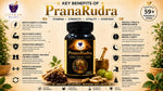 MedxLife PranaRudra Ayurvedic Capsules – 60 Capsules
