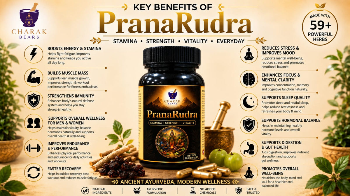 MedxLife PranaRudra Ayurvedic Capsules – 60 Capsules