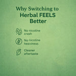 Royal Swag Ayurvedic Herbal Wellness Sticks Paan Flavour - Tobacco & Nicotine Free (10 Sticks - 2 Pack)
