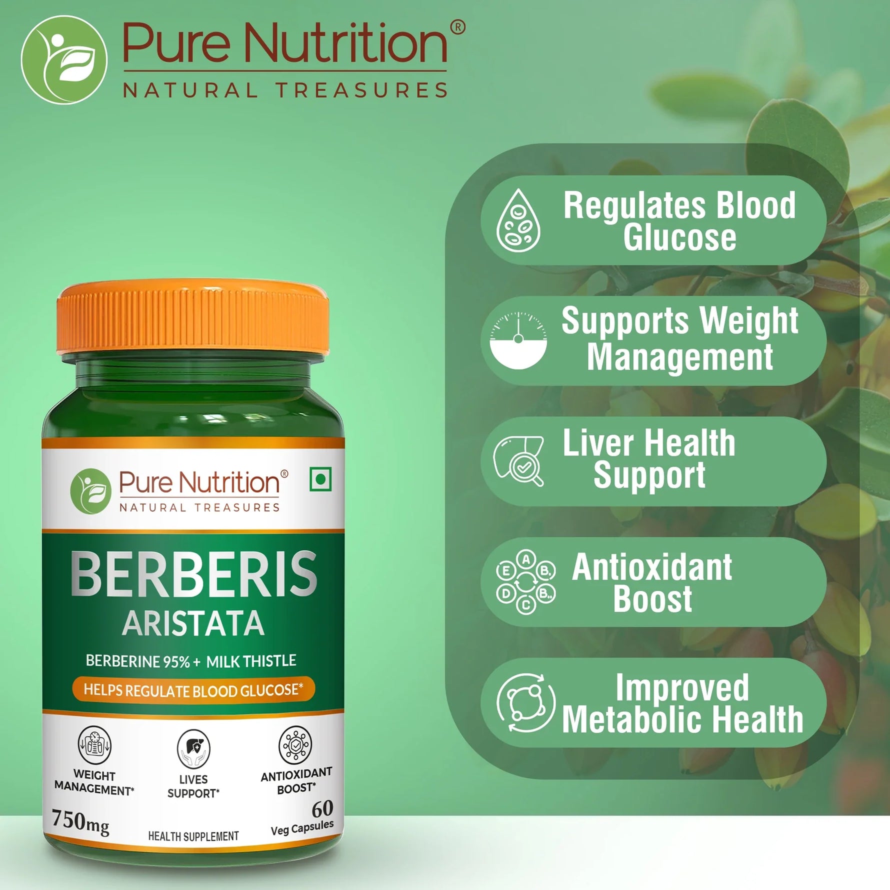 Pure Nutrition Berberis Aristata with Berberine 95% + Milk Thistle (120 Capsules)