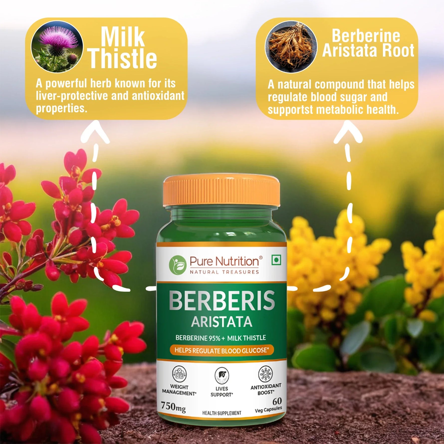 Pure Nutrition Berberis Aristata with Berberine 95% + Milk Thistle (120 Capsules)