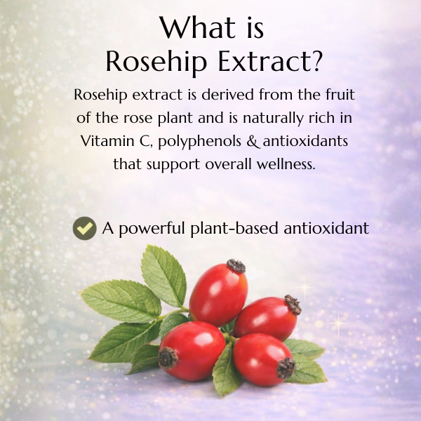 Pure Nutrition Rosehip Extract 500mg - 60 Capsules