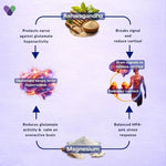 Healio Dream SR Capsules - 20 Capsules