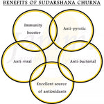 Jammi Sudarshana Churna Capsules - 60 Capsules