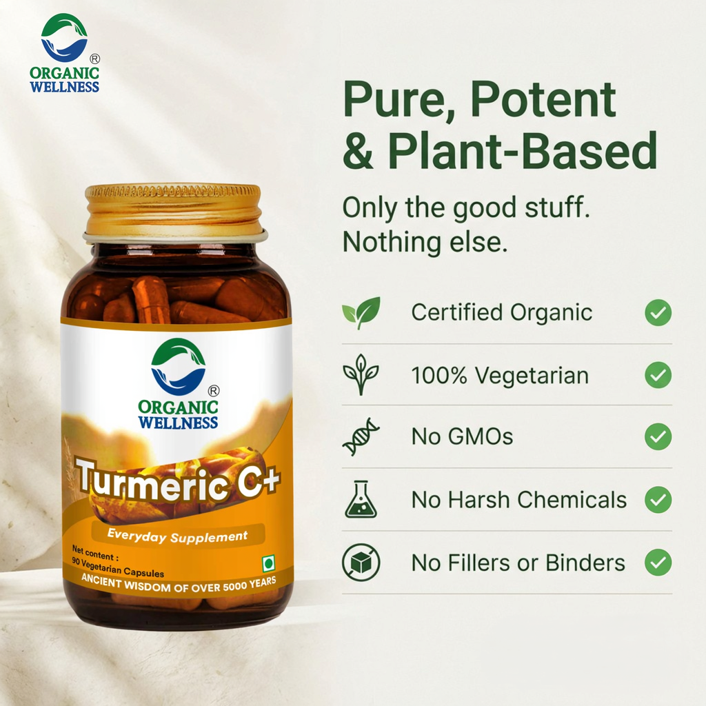 Organic Wellness Turmeric Curcumin Capsules -  90 Veg Capsules