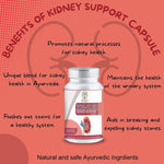 Zenius Kidney Support Capsules - Kidney Detox Capsules for Kidney Health and Stone Relief - 60 Capsules