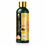 Jishan Amla & Aritha Herbal Shampoo