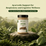 Bixa Botanical Vacha Root Powder (Acorus Calamus) | Pure Sweet Flag Rhizome Powder for Cognitive Support, Speech Clarity & Brain Health (200g)