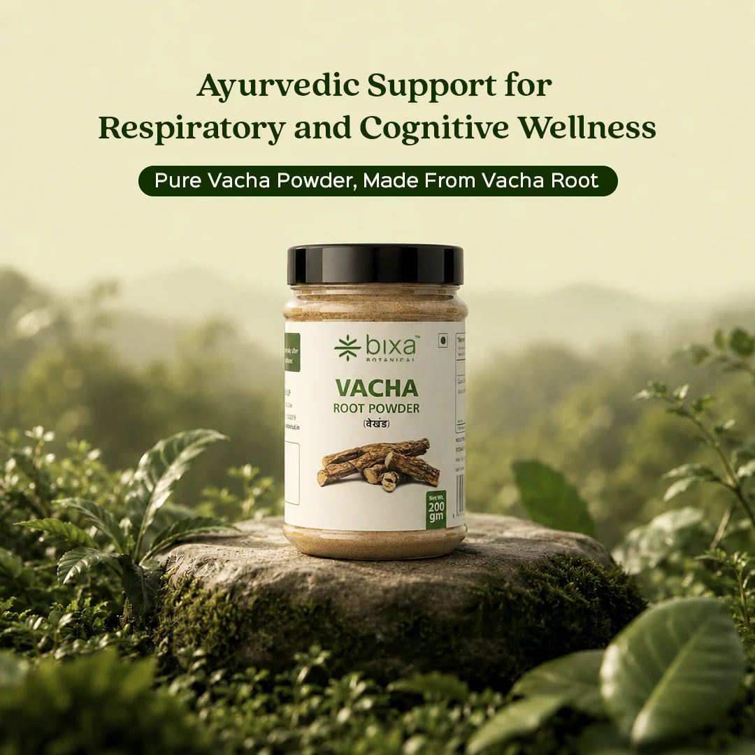 Bixa Botanical Vacha Root Powder (Acorus Calamus) | Pure Sweet Flag Rhizome Powder for Cognitive Support, Speech Clarity & Brain Health (200g)