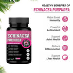 Adorreal Echinacea Purpurea Capsule | 60 Capsules