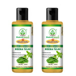 Bhudevam Naturals Khadi Henna & Tulsi Hair Shampoo for Scalp Care & Hair Fall Control- 420ML (Pack of 2)