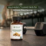 Bixa Botanical Ashwagandha Extract (60 Veg Capsules | 450mg) | Standardized to 2.5% Withanolides for Stress Relief, Stamina & Immune Support`