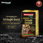 Baidyanath Himalayan Shilajit Gold - 20 Capsules