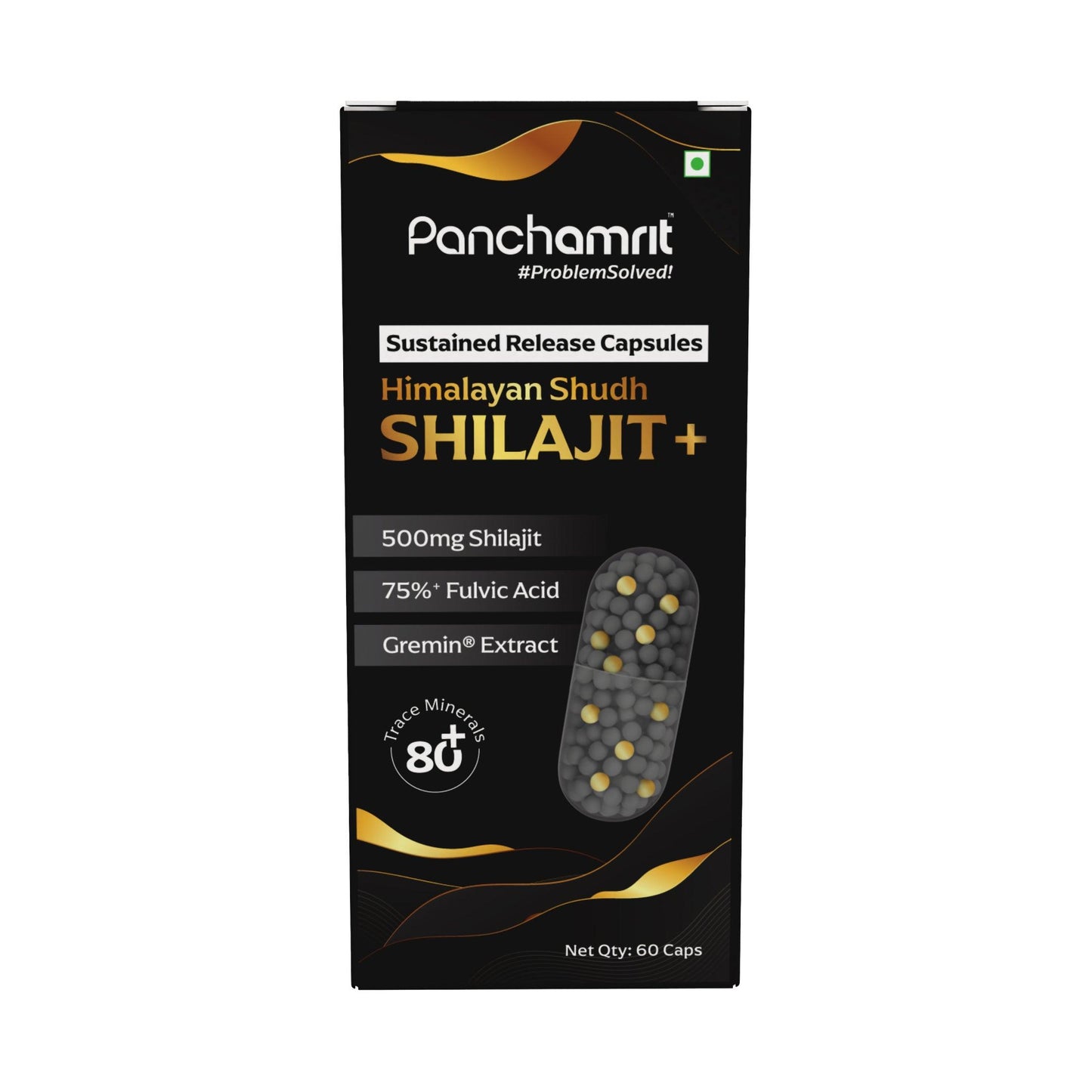 Panchamrit Himalayan Shudh Shilajit Capsules - Sustained Release