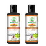 Bhudevam Naturals Khadi Amla Reetha Hair Shampoo for Hair Fall Control & Deep Scalp Cleansing- 420ML( Pack of 2)