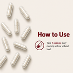 Vitaone Sun-Theanine® + Natural Caffeine Capsules (30s) | For Sustained Energy, Sharp Focus & Mental Clarity