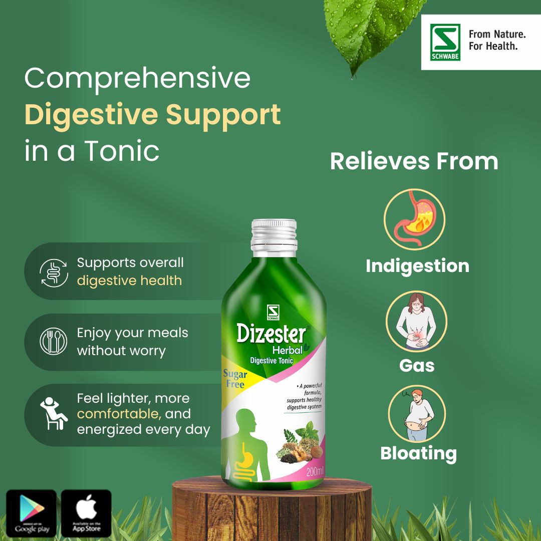 Dr Willmar Schwabe India Dizester Digestive Tonic Sugar Free