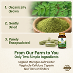 Organic Wellness Moringa Essential Nutrition Capsules  - 90 N Veg Capsules