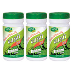 Pack of 3 Brahmi Churna 100gm Brain Tonic, Stress Support, Immunity Support & Antioxidant Benefits.