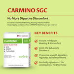 Millennium Herbal Care Carmino Soft Gel Capsule - 120 Capsules