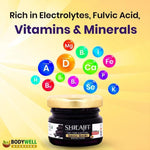 BodyWell Himalayan Shilajit Resin 100% Pure & Natural - 20gm