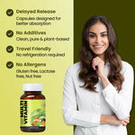 ZEROHARM Multivitamins + Probiotics Capsule With A, B , D & E Vitamins, Prebiotics for Energy, Gut Health, Digestion for Men & Women - 60 Veg Capsule