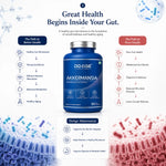 De-Age Akkermansia AH39 30 Capsules | Gut Health & Healthy Aging Support Supplement
